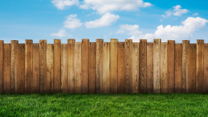 Fencing Springdale